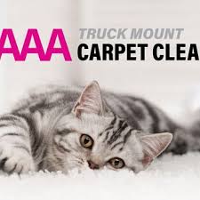 aaaa truck mount carpet cleaning 23