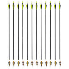 Victory Archery Decimator Arrows 6 Pack Compound Bow