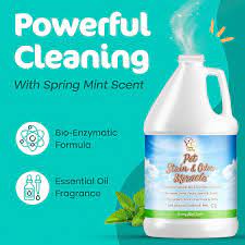 best carpet stain odor remover 1
