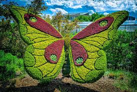 Atlanta Botanical Gardens Exhibition