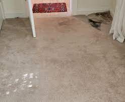 cleaning flood damaged carpet and rugs