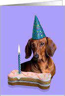 Choose the cat, dog, horse, bird, fish and more that stars in your card. Dog Birthday Cards With Dachshund From Greeting Card Universe