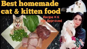 best homemade cat food recipe persian