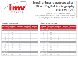 X Ray Small Animal Exposure Charts Imv Imaging