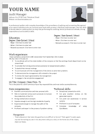 But for experienced one's, it is necessary to have a professional summary section. Audit Manager Resume Templates For Ms Word Word Excel Templates