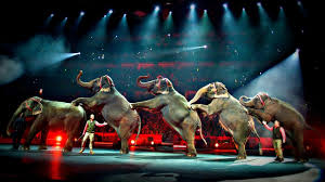 Ringling Brothers And Barnum Bailey Circus To Stop