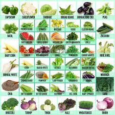 natural fruits and vegetable seeds