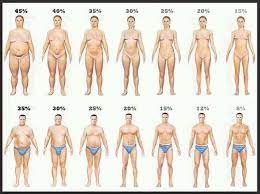 how to mere body fat percene