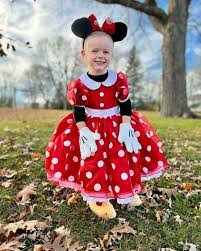 toddler disney minnie mouse costume