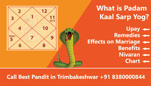 Padam Kaal Sarp Dosh Upay Remedies Effects Benefits And