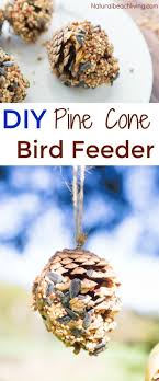 Observing Learning Backyard Birds With Free Printables