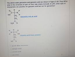 amino acids glutamine and glutamic acid
