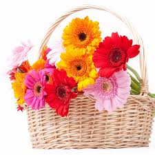Cheap flower delivery send cheap flowers online with these beautiful arrangements by local florists! Send Flowers Online Uk Reading