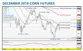 U S Corn Market Outlook For The Week Of October 1st See