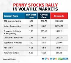 risky stocks gave multi bagger returns