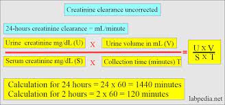 Creatinine Clearance Crc Test