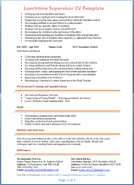 Child and Youth Worker CV Sample   MyperfectCV