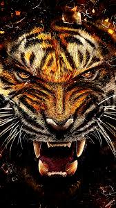 wild tiger wallpaper free