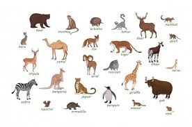 Animals Vectors 159 000 Free Files In Ai Eps Format