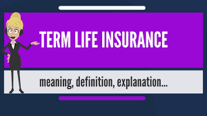 We're glad you asked about life insurance meaning. What Is Term Life Insurance What Does Term Life Insurance Mean Term Life Insurance Meaning Youtube