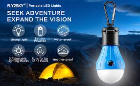 Amazon Com Fly2sky Tent Lamp Portable Led Tent Light 4 Packs Clip Hook Hurricane Emergency Lights Led Camping Light Bulb Camping Tent Lantern Bulb Camping Equipment For Camping Hiking Backpacking Fishing Outage Sports