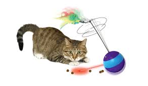 spin about electronic laser cat toy