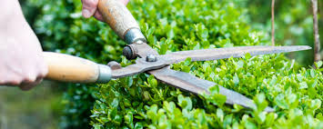 Gardening Maintenance Clean Up Costs