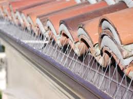 simple tips on replacing gutter spikes