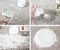pet stains out of carpet stain remover
