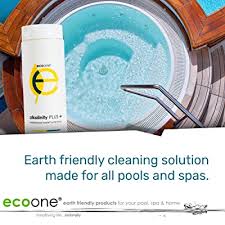 High ph and alkalinity can. Buy Ecoone Alkalinity Plus Spa Swimming Pool Professional Water Balancing Raises Alkalinity Level All Natural Eco Friendly Quick Dissolving Formula Pool Maintenance Supplies 2 Lb Bottle Online In Italy B007l3c6l0