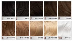 So say in september, someone went brown and in may she wants to go blonde. Wtf Is Level 10 Hair Arctic Fox Dye For A Cause