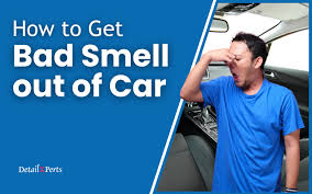 how to get bad smell out of car step