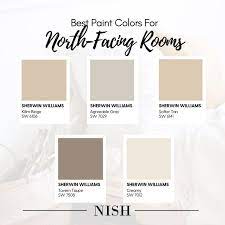 Pin On Paint Colour Consultation Nish