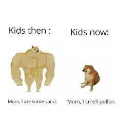 Originating from a viral reddit meme. Swole Doge Vs Cheems Then Vs Now Best Memes Collections