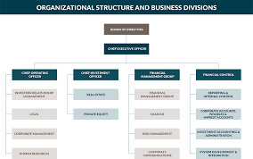 Organizational Structure Arcapita