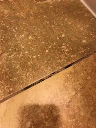 gross black mold on the tile floors all