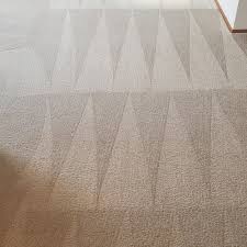 carpet cleaning service in lynnwood wa
