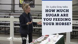 How Much Sugar Are You Feeding Your Horse