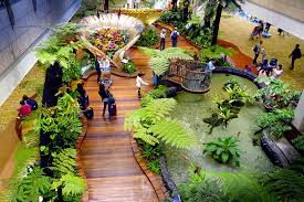 changi airport in singapore what to
