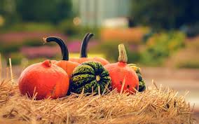 a scenic fall pumpkin display