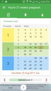 Trimester Chart Confusion Babycenter