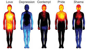 Mapping Emotions On The Body Love Makes Us Warm All Over