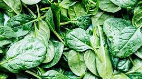 How much is a 100g of spinach?