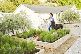 67 Front And Backyard Landscaping Ideas