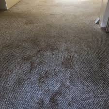 prime carpet cleaning updated april