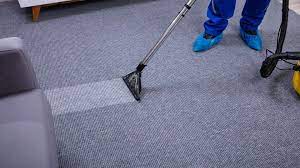 deep steam carpet cleaning in ta fl