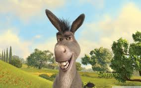 donkey wallpaper 55 pictures