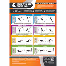 Gym And Fitness Chart Suspension Training