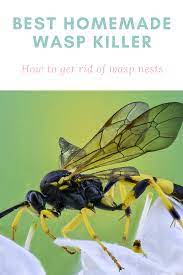 best homemade wasp updated in