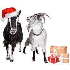 awesome gifts for people who love goats